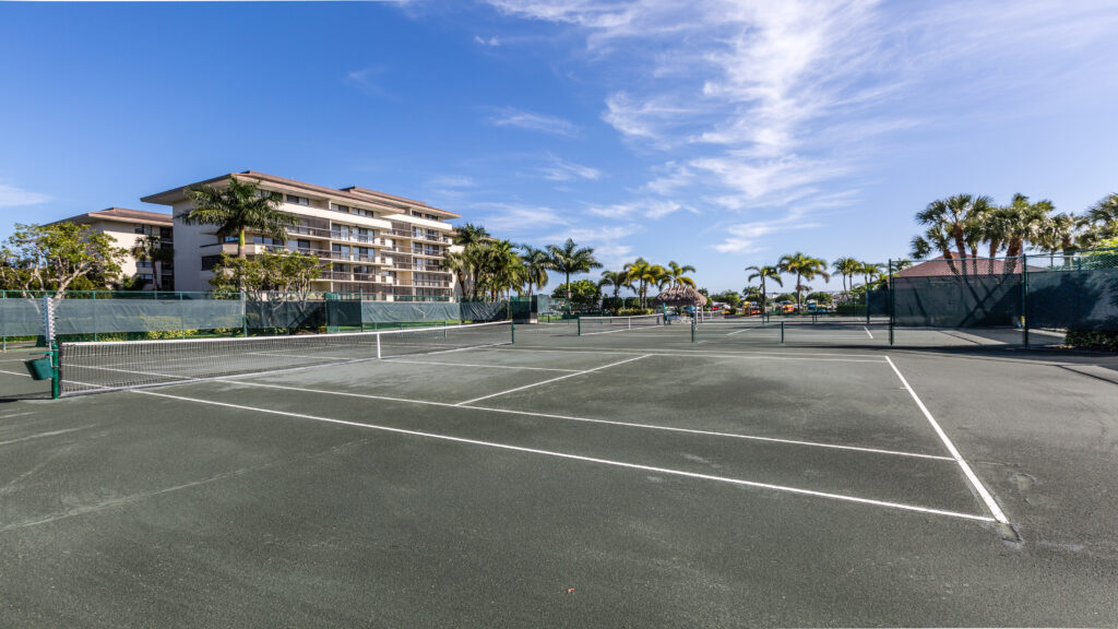tenis